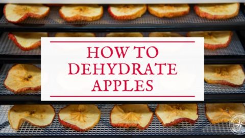 How to Dehydrate Apples (+ Our Cinnamon Apple Chips Recipe!)