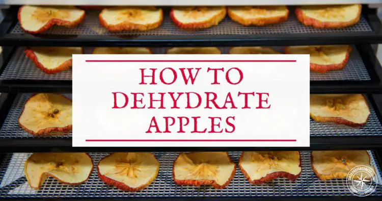 How to dehydrate apples