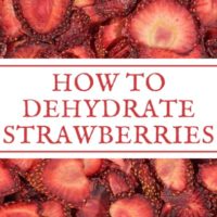 Learning how to dehydrate your own homegrown strawberries is fun and a great way to preserve fresh food. These can also be stored for the long term.