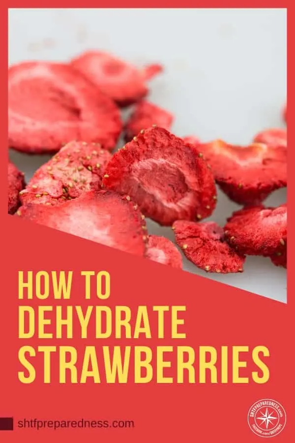 Learning how to dehydrate strawberries will give you another weapon in your long term food storage arsenal.