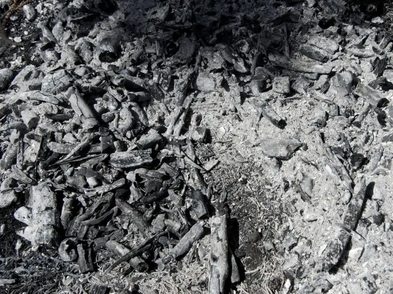 Ash is a good source of organic potassium and phosphorus ingredients for your compost pile