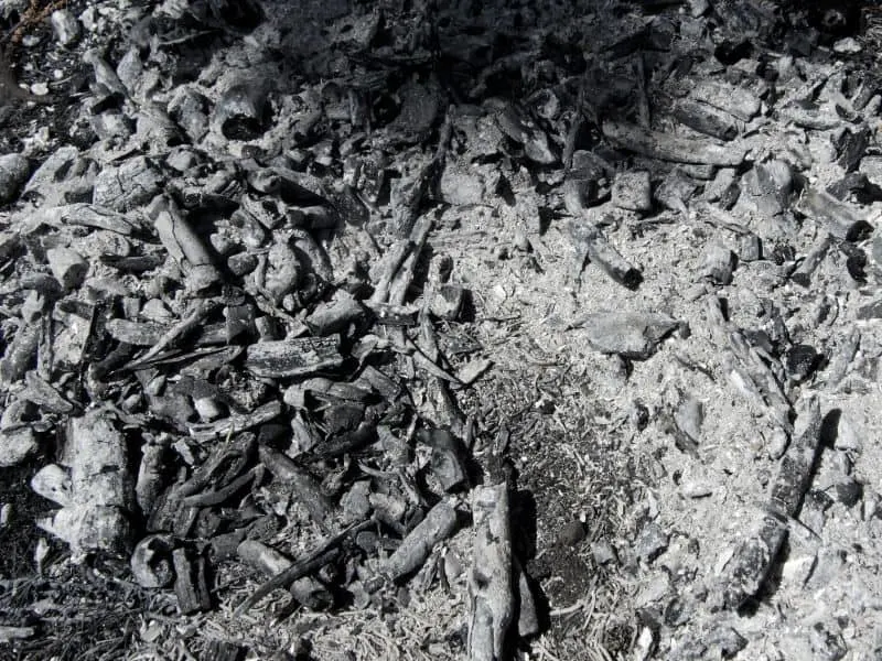 Ash is a good source of organic potassium and phosphorus ingredients for your compost pile