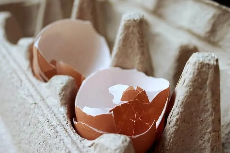 Eggshells take forever to break down but are a good source of nutrients for compost.
