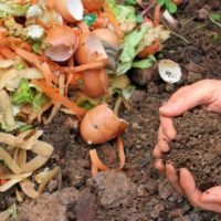 Hands holding some fresh compost next to a pile of kitchen scraps