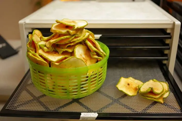 Using a dehydrator to dehydrate apple slices
