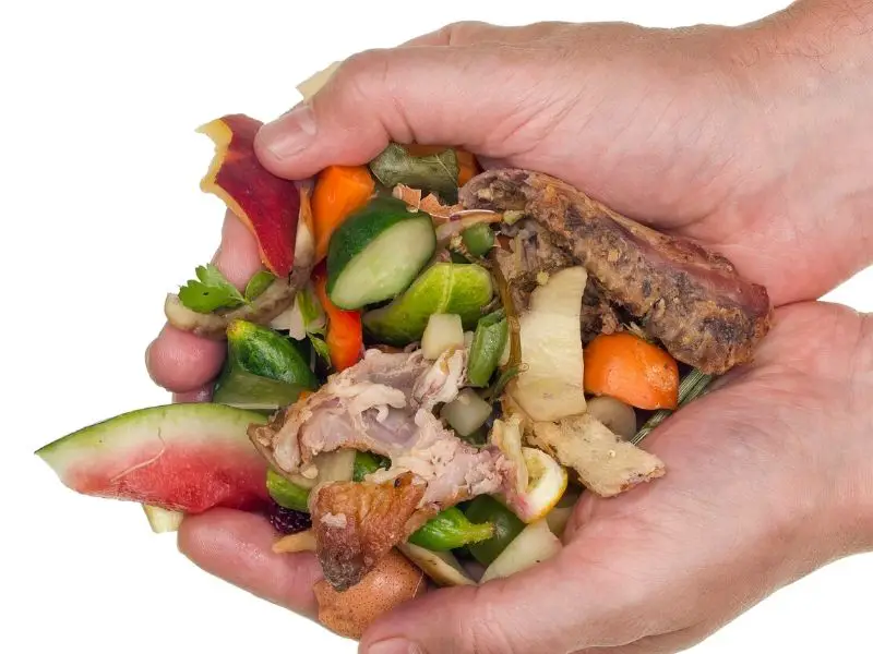 Use kitchen waste as organic compost ingredients