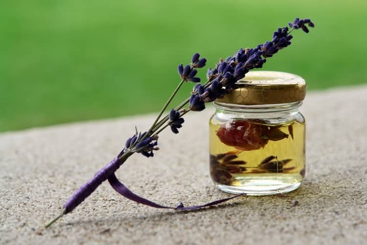 lavender oil essential oil