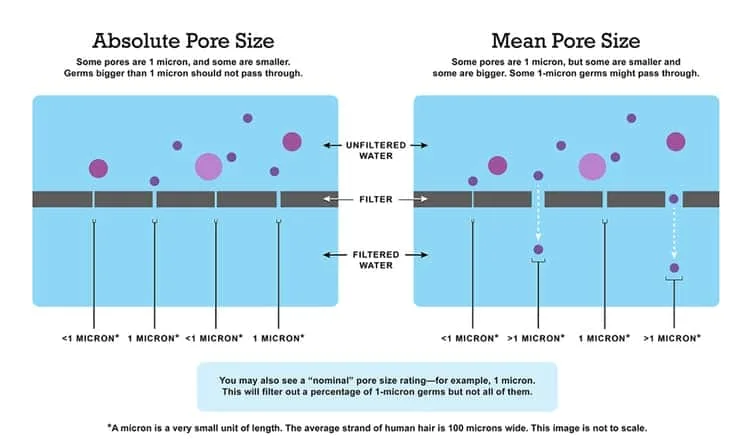 illustration of water filter absolute pore size vs size of contaminants in water