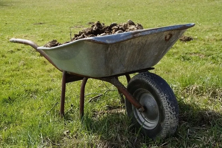 There are a lot of benefits to adding manure as one of your key organic compost ingredients.
