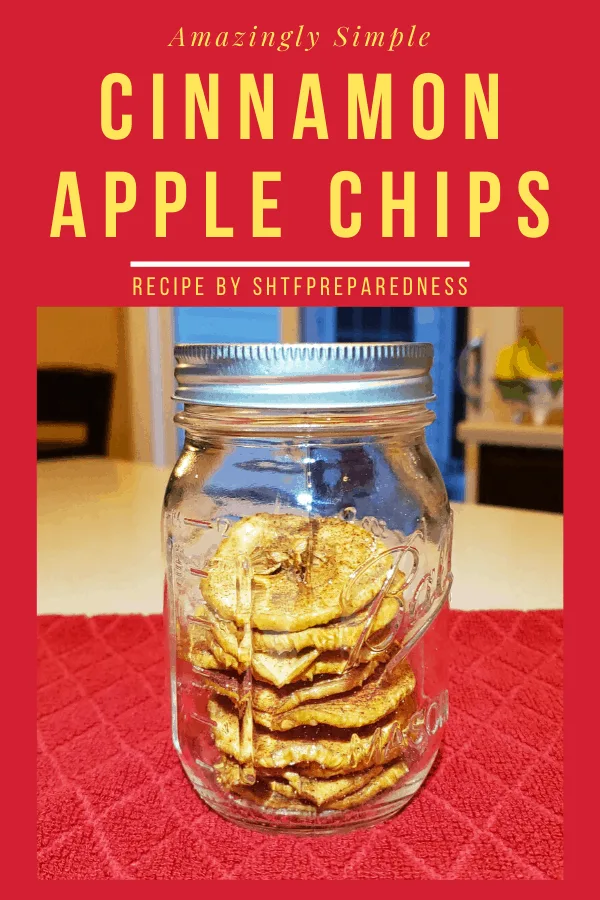 Cinnamon Apple Chips Recipe pin2