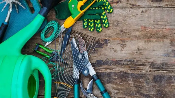 How to Clean Garden Tools Properly to Avoid Rust and Dull Blades