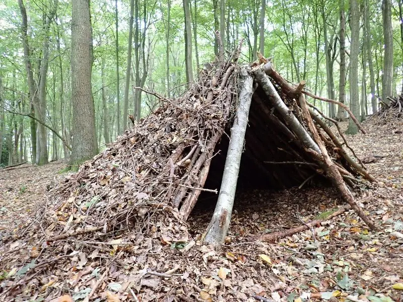 Natural shelter