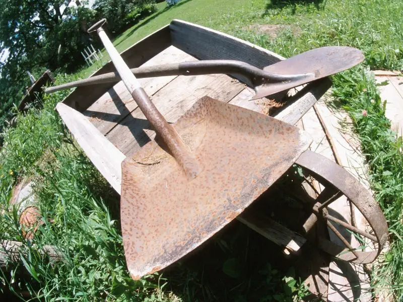 Rusty garden tools