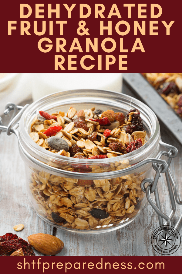 Dehydrated Fruit Honey Granola Recipe