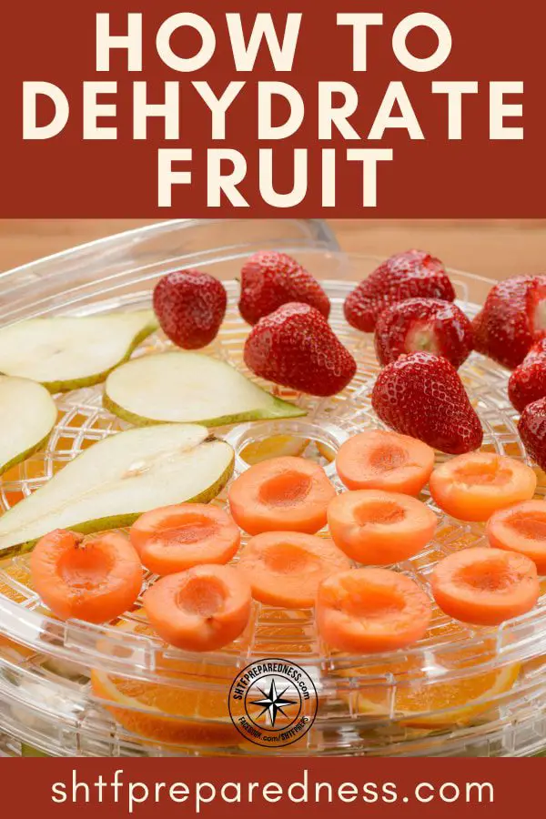 Food preservation is a lost art that boosts health, saves money and keeps you prepared. Learning how to dehydrate fruit is an essential preparedness skill.