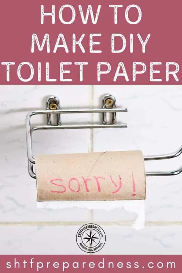How to Make DIY Toilet Paper pin