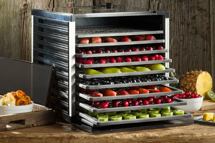 LEM 1153 Mighty Bite 10-Tray Double Door Dehydrator