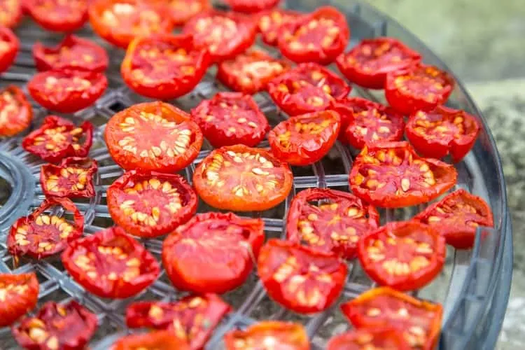 dehydrated tomatoes