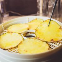 The ultimate food dehydrator guide showcasing the best dehydrators of 2020