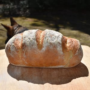 baked homemade bread recipe
