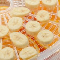 close-up of banana slices on a dehydrator tray