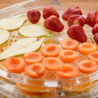 strawberries, pears and other fruit in a dehydrator