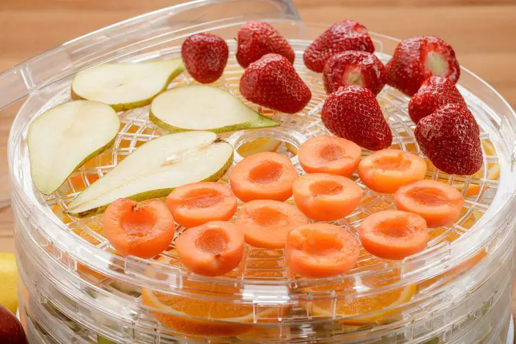 strawberries, pears and other fruit in a dehydrator