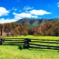 Off the grid homestead