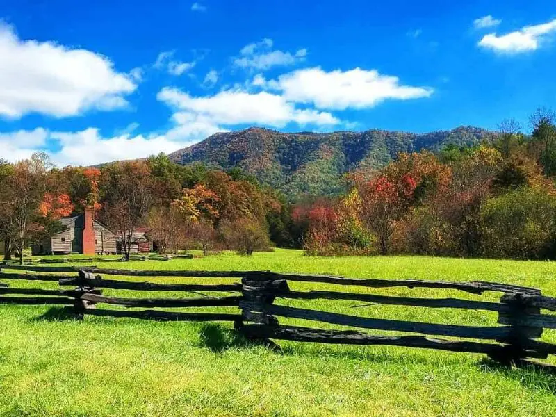 Off the grid homestead