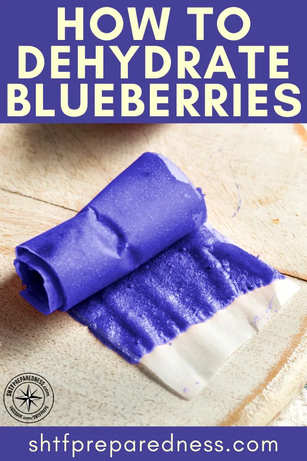 How to Dehydrate Blueberries Fruit Leather