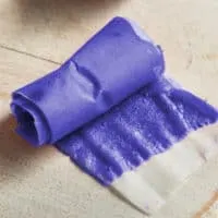 rolled up blueberry fruit leather