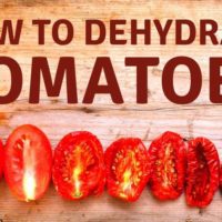 dehydrated tomatoes in a line on a cutting board