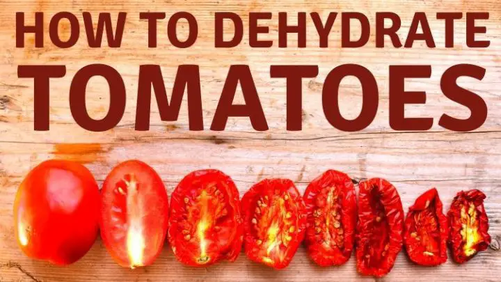 How to Dehydrate Tomatoes: Dehydrator, Oven and Sun-Dried Recipes