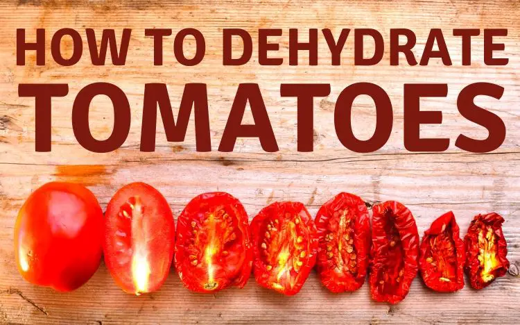dehydrated tomatoes in a line on a cutting board