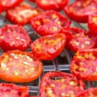 tomatoes on a dehydrator tray