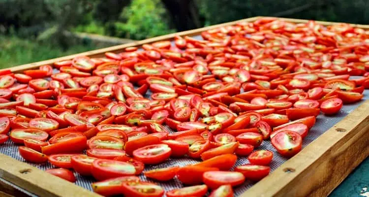 drying tomatoes outside in the sun