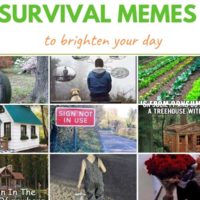 Survival memes