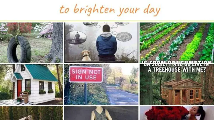 Survival Memes To Brighten Your Day