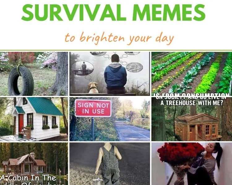 Survival memes
