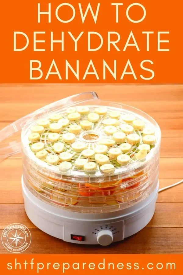 How to Dehydrate Bananas 10 Learning how to dehydrate bananas provides you with a delicious treat and the ability to store them for the long term!