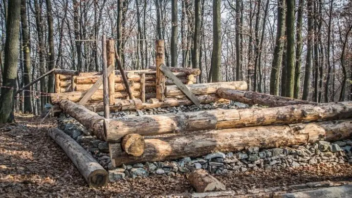 How to Build a Log Cabin from Trees