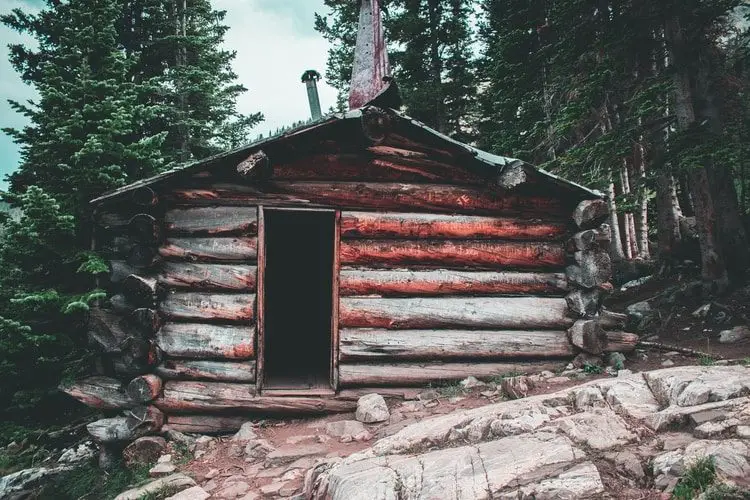 log cabin beside tall trees