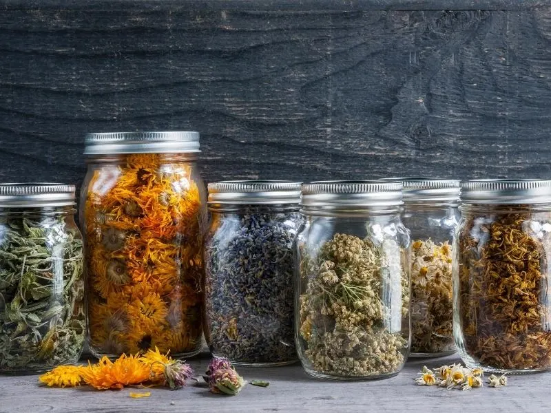 Dried herbs stored in glass jars