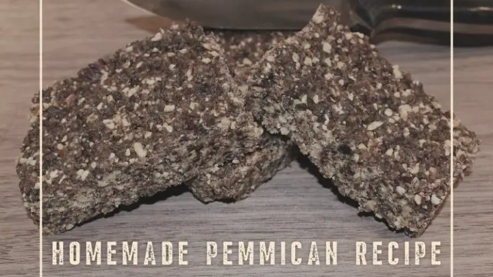 How to Make Pemmican Homemade Recipe