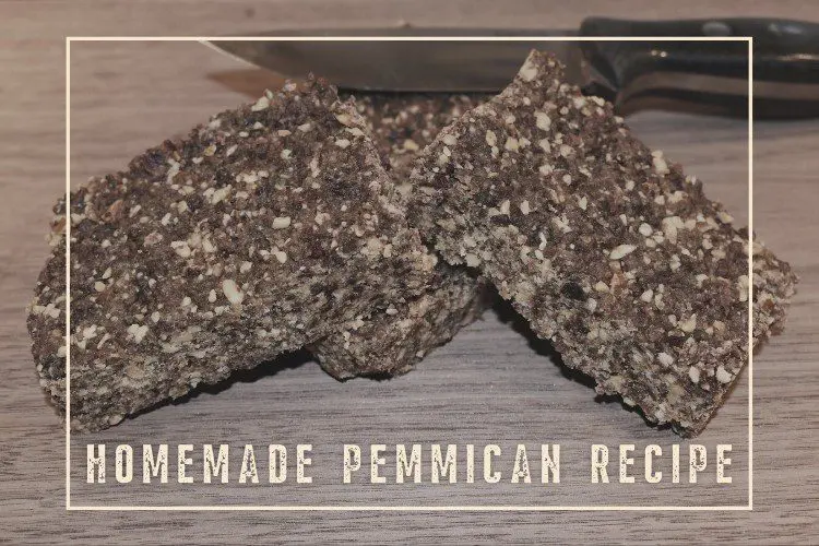 homemade pemmican recipe