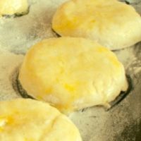 cattail biscuits recipe