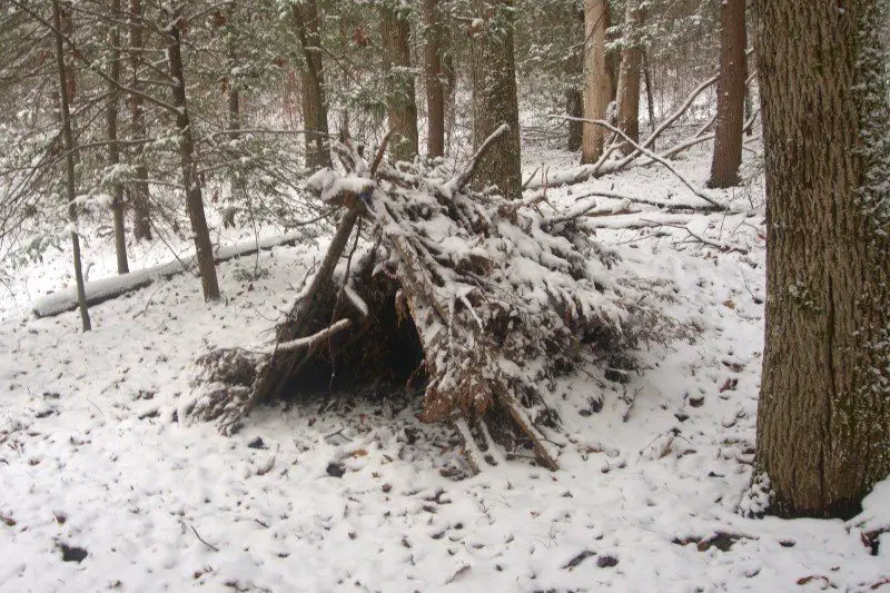 lean-to winter survival shelter