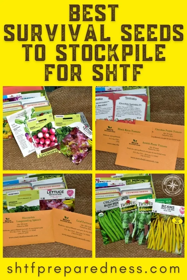 Make sure you've got these best survival seeds to stockpile in your preps! Some seeds are easier to grow, and better suited for a SHTF situation, than others.