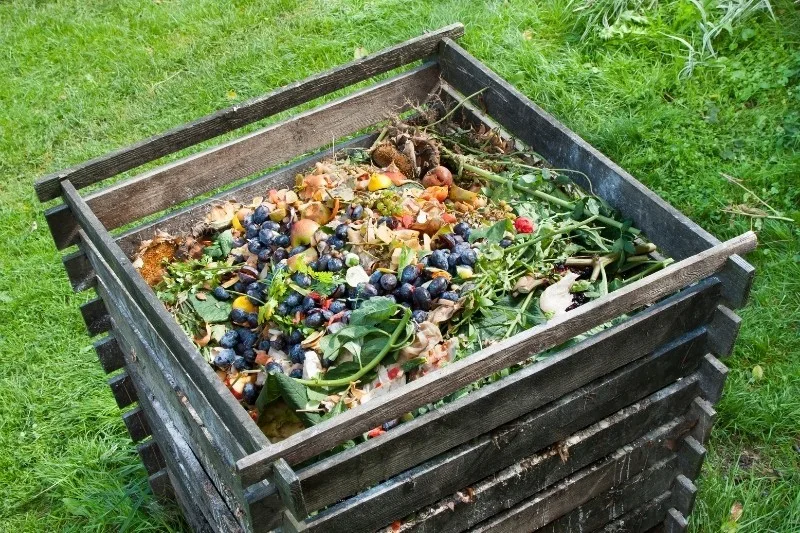 compost for the garden