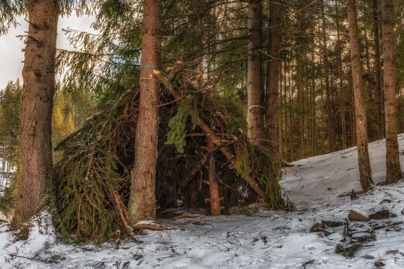 forest shelter